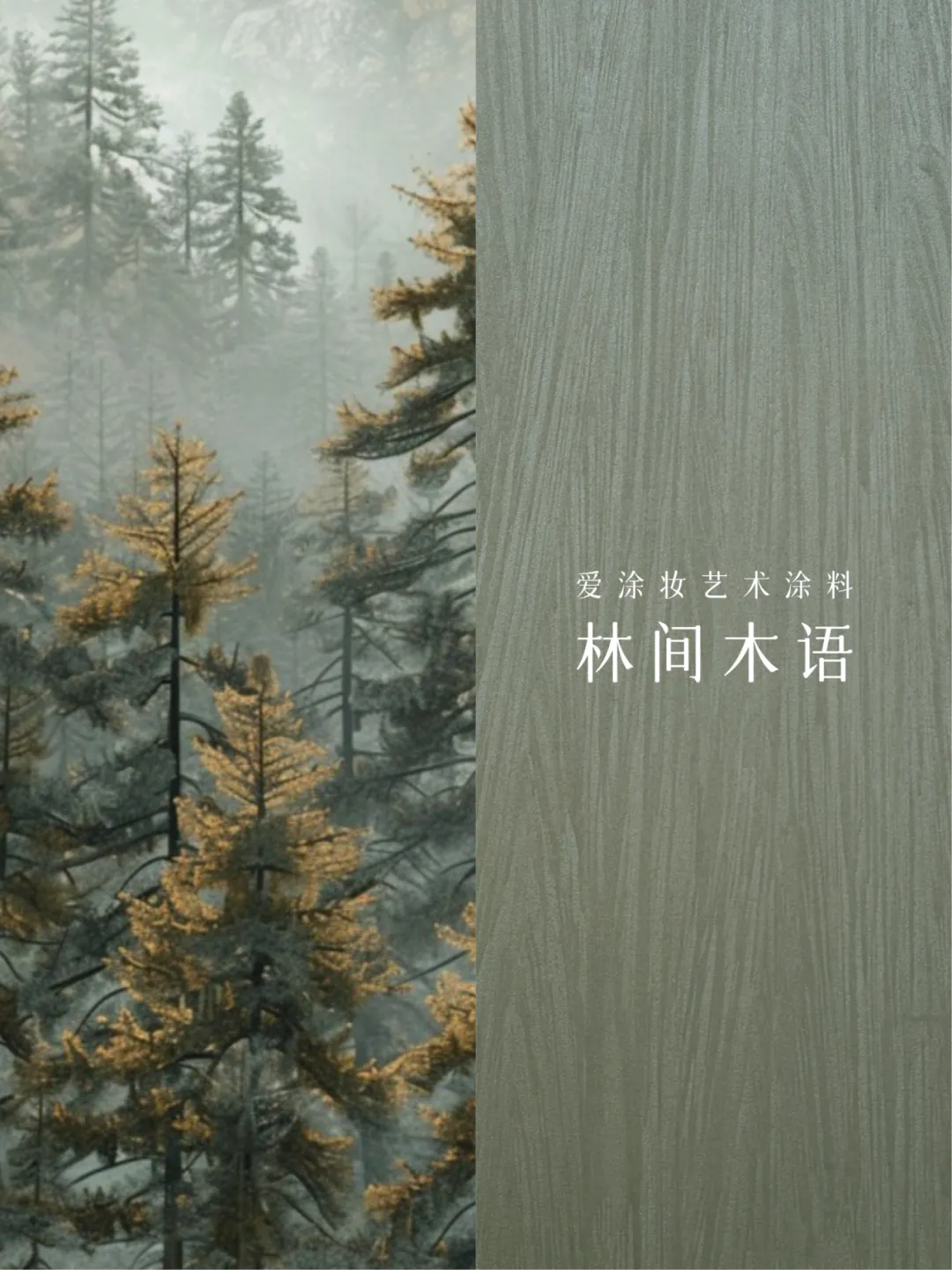 2025六月色彩｜苔绿 - 让家成为诗意栖居地 艺术涂料灵感图
艺术涂料立体纹理
艺术涂料产品