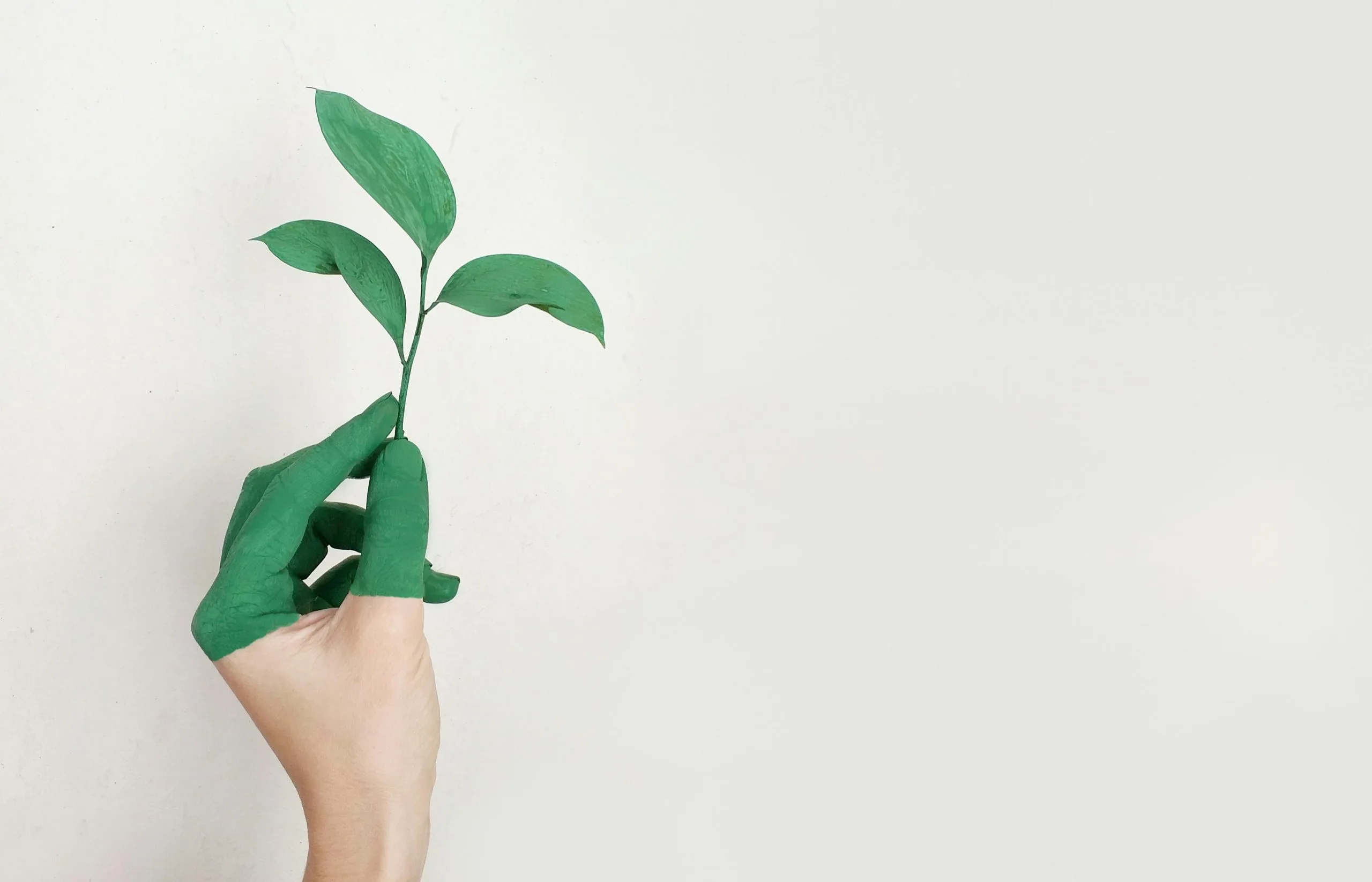 A green-painted hand gently holds a small green plant against a white background.