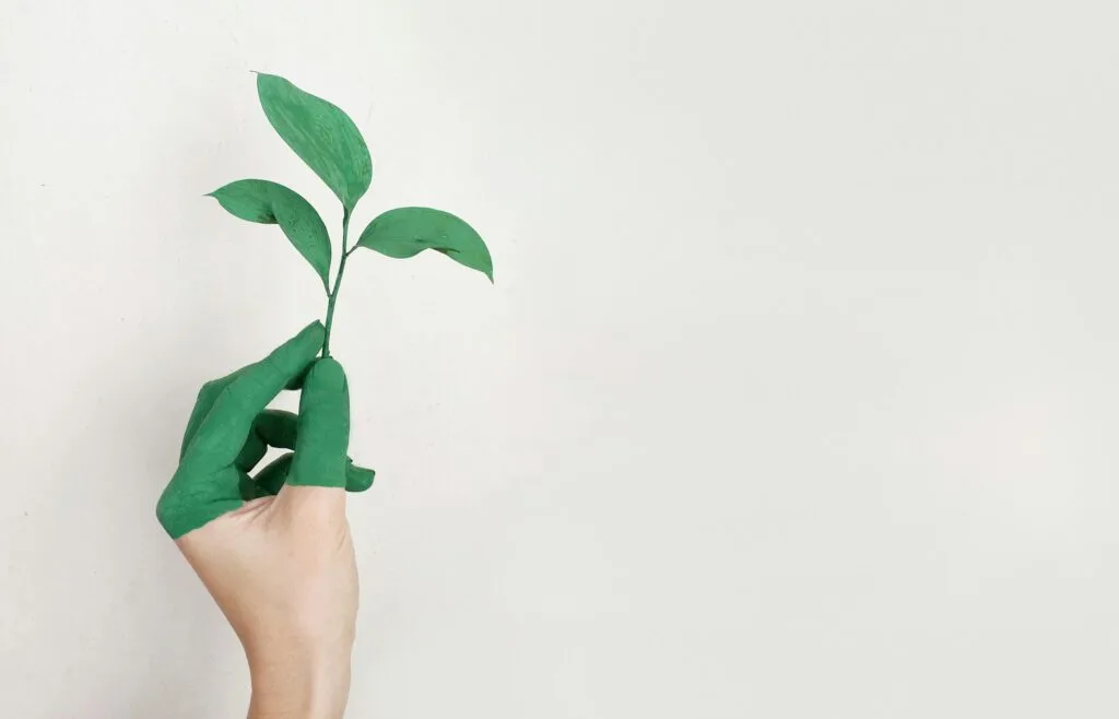 iLuvVivid Green Sustainability Efforts 