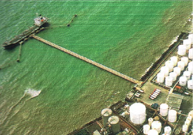 65年，只为让“家”更有温度