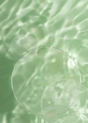 灵感枯竭时，不妨看看这抹霜绿