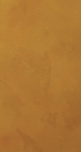 可触摸的佛罗伦萨，从品位到设计权威
艺术涂料质感图