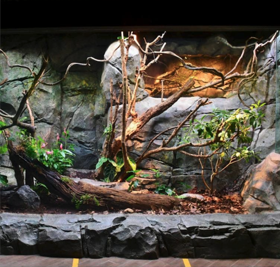 爱涂妆案例｜主题公园 - 新加坡 动物园与飞禽公园