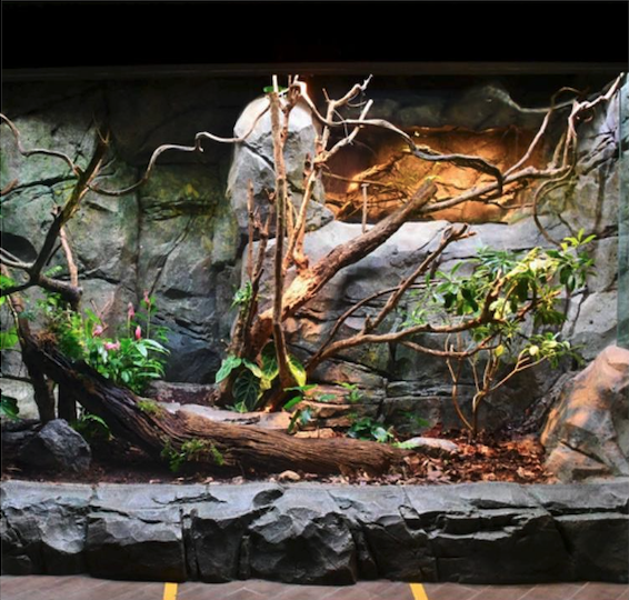 爱涂妆案例｜主题公园 - 新加坡 动物园与飞禽公园