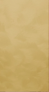 可触摸的佛罗伦萨，从品位到设计权威
艺术涂料质感图