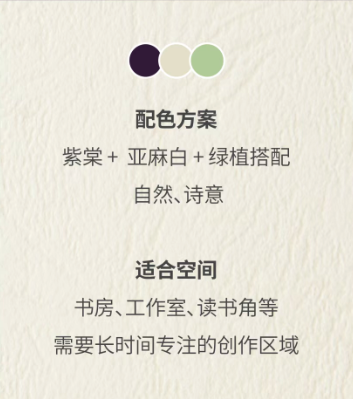 November 2025 Color｜The 