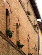 摸过"雪花石膏"的那一刻,我才懂什么叫托斯卡纳