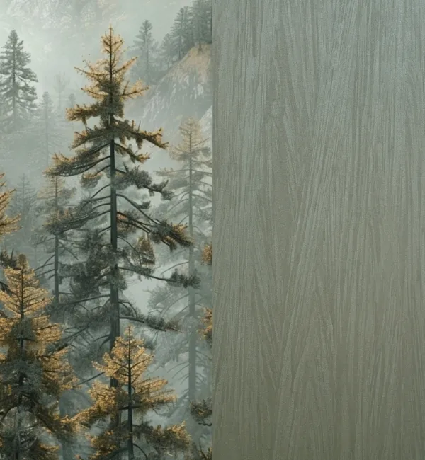 Misty fir trees with golden needles stand on a mountainside next to a textured wood grain pattern.