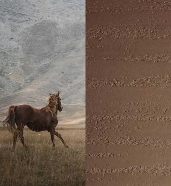 A brown horse gallops through a dry grassy field with mountains in the background.