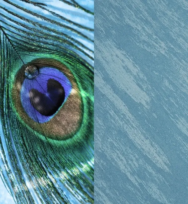 A dewdrop rests on a vibrant peacock feather's eye against a textured blue background.