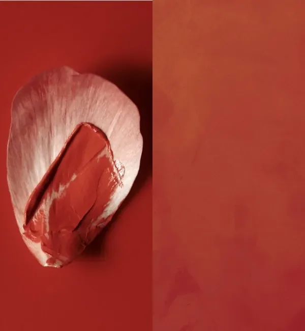 A swatch of red lipstick is artfully applied to a delicate white petal against a vibrant red background.