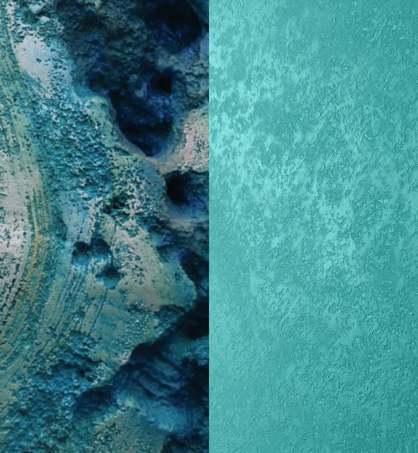 Textured blue coral formations contrast with a smooth, aquamarine surface.